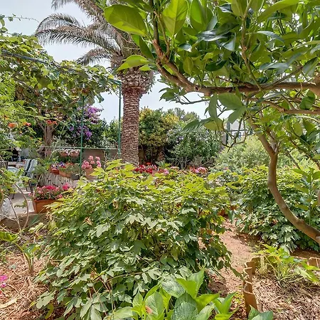 Marisa * מאלי לוסיניי